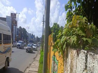 Commercial Land for Sale in Ernakulam, Angamaly, Angamaly