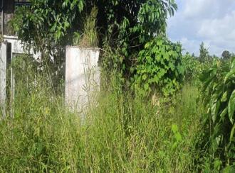 Commercial Land for Sale in Ernakulam, Angamaly, Angamaly