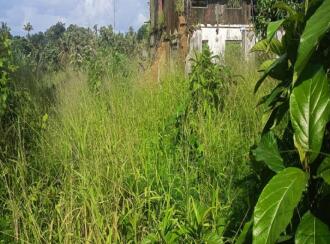 Commercial Land for Sale in Ernakulam, Angamaly, Angamaly