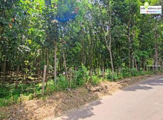 Residential Land for Sale in Pathanamthitta, Thiruvalla, Vennikulam, Town road, 1 km from