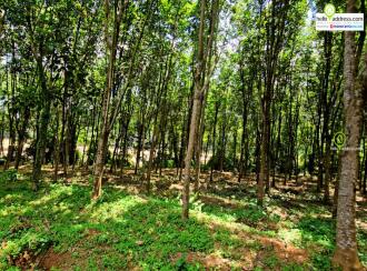 Residential Land for Sale in Pathanamthitta, Thiruvalla, Vennikulam, Town road, 1 km from