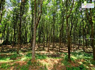 Residential Land for Sale in Pathanamthitta, Thiruvalla, Vennikulam, Town road, 1 km from