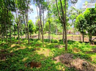 Residential Land for Sale in Pathanamthitta, Thiruvalla, Vennikulam, Town road, 1 km from