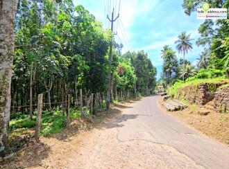 Residential Land for Sale in Pathanamthitta, Thiruvalla, Vennikulam, Town road, 1 km from