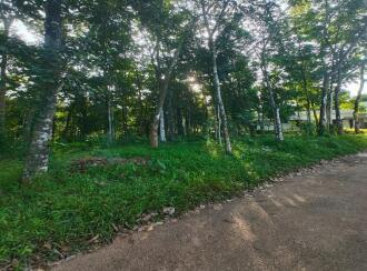 Agricultural Land for Sale in Kottayam, Kuravilangad, Kuravilangad, Near St. Sebastian’s Church