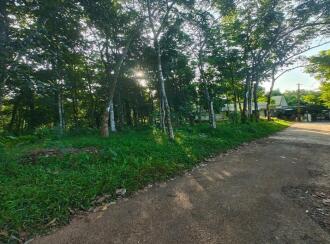 Agricultural Land for Sale in Kottayam, Kuravilangad, Kuravilangad, Near St. Sebastian’s Church
