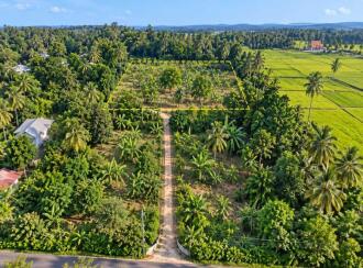 Residential Land for Sale in Trivandrum, Kazhakoottam, Pothencode, Santhigiri - Koliyacode ,Kalungu Junction