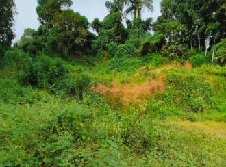 Residential Land for Sale in Kottayam, Pampady, 14th mile, 1 km from Kanm