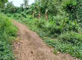 Residential Land for Sale in Kottayam, Pampady, 14th mile, 1 km from Kanm