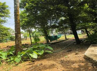 വാസയോഗ്യമായ ഭൂമി വില്പനയ്ക്ക് Thrissur, Koratty, Chirangara, Vazhichal