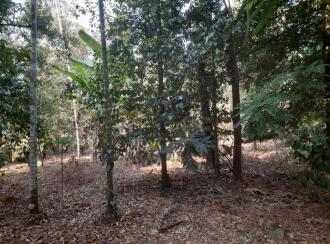 Residential Land for Sale in Thrissur, Kodakara, Kodaly, Kodakaara vellikulangara