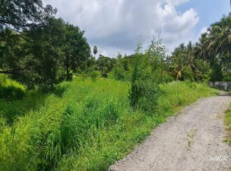 Agricultural Land for Sale in Palakkad, Palakkad, Elappully, .5 km petta hospital, palakkad