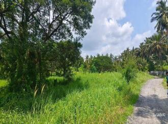 Agricultural Land for Sale in Palakkad, Palakkad, Elappully, .5 km petta hospital, palakkad