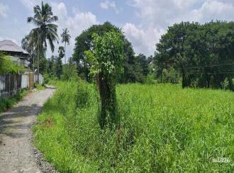 Agricultural Land for Sale in Palakkad, Palakkad, Elappully, .5 km petta hospital, palakkad