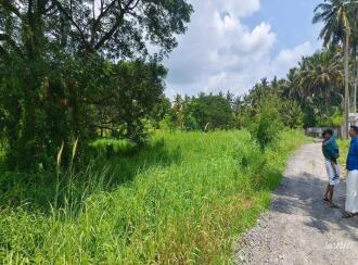 Agricultural Land for Sale in Palakkad, Palakkad, Elappully, .5 km petta hospital, palakkad