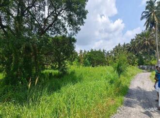 Agricultural Land for Sale in Palakkad, Palakkad, Elappully, .5 km petta hospital, palakkad