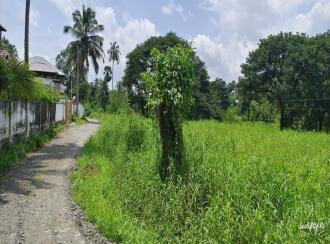 Agricultural Land for Sale in Palakkad, Palakkad, Elappully, .5 km petta hospital, palakkad