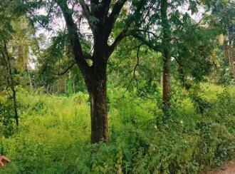 Residential Land for Sale in Kollam, Kollam, Anchalummoodu, vellimon