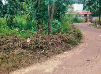 Residential Land for Sale in Kollam, Kollam, Anchalummoodu, vellimon