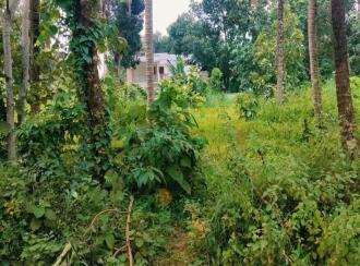 Residential Land for Sale in Kollam, Kollam, Anchalummoodu, vellimon