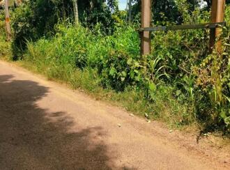 Residential Land for Sale in Kollam, Kollam, Anchalummoodu, vellimon