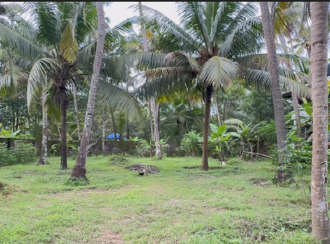 Residential Land, Thrissur