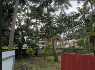 Residential Land for Sale in Thrissur, Chavakkad, Pavaratty, Pavaratty St. Joseph's Church