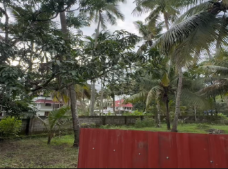 Residential Land for Sale in Thrissur, Chavakkad, Pavaratty, Pavaratty St. Joseph's Church