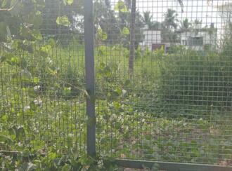 Residential Land for Sale in Kollam, Pathanapuram, Pathanapuram, St Mary's Residential School & Junior College