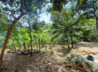 Residential Land for Sale in Idukki, Moolamattom, Arakkulam