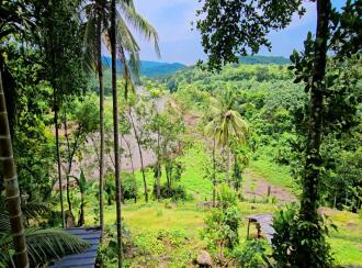 Commercial Land for Sale in Pathanamthitta, Ranni, Vadasserikkara, Maniyar