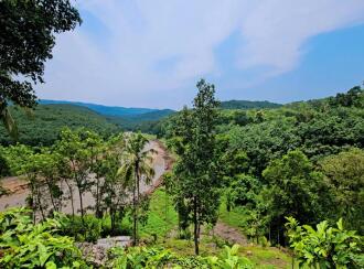 Commercial Land for Sale in Pathanamthitta, Ranni, Vadasserikkara, Maniyar
