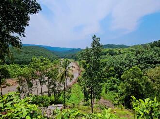 Commercial Land for Sale in Pathanamthitta, Ranni, Vadasserikkara, Maniyar