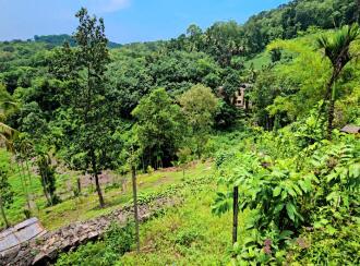 Commercial Land for Sale in Pathanamthitta, Ranni, Vadasserikkara, Maniyar