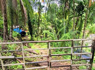Commercial Land for Sale in Pathanamthitta, Ranni, Vadasserikkara, Maniyar