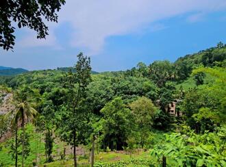 Commercial Land for Sale in Pathanamthitta, Ranni, Vadasserikkara, Maniyar