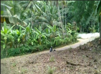 Residential Land for SaleTrivandrum, Venjaramoodu, Nellanad