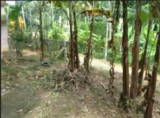 Residential Land for Sale in Trivandrum, Venjaramoodu, Nellanad, poovanathummoodu