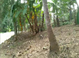 Residential Land for Sale in Trivandrum, Venjaramoodu, Nellanad, poovanathummoodu