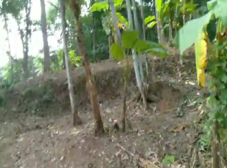 Residential Land for Sale in Trivandrum, Venjaramoodu, Nellanad, poovanathummoodu