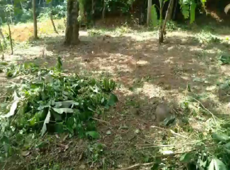 Residential Land for Sale in Trivandrum, Venjaramoodu, Nellanad, poovanathummoodu