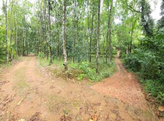 Residential Land for Sale in Kottayam, Kuravilangad, Vayala, Nellikkunnu, Vayala, Kottayam