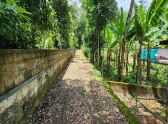Residential Land for Sale in Kottayam, Kuravilangad, Vayala, Nellikkunnu, Vayala, Kottayam