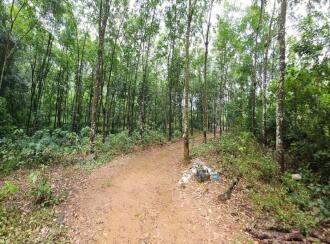 Residential Land for Sale in Kottayam, Kuravilangad, Vayala, Nellikkunnu, Vayala, Kottayam