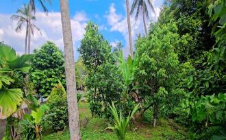 Commercial Building for Sale in Kottayam, Pala, Cherpunkal, 9°41'37.0"N 76°38'31.2"E