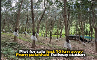 Residential Land for SalePalakkad, Palakkad, Mundur