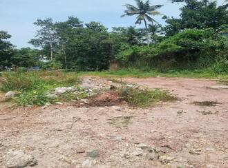 Residential Land for Sale in Kollam, Kottiyam, Kottiyam, Perumbuzha