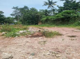 Residential Land for Sale in Kollam, Kottiyam, Kottiyam, Perumbuzha