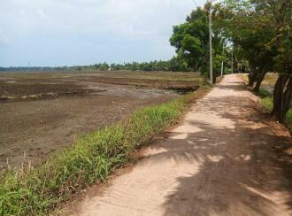 Residential House Villa for Sale in Alleppey, Kuttanad, Kavalam, Krishnapuram route Narakathara.