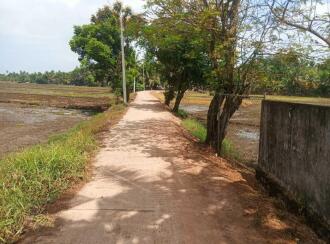 Residential House Villa for Sale in Alleppey, Kuttanad, Kavalam, Krishnapuram route Narakathara.